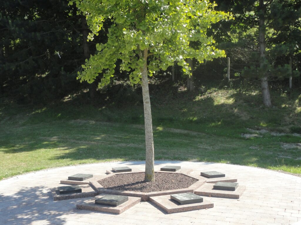 Cavurne Pétale 8 familles