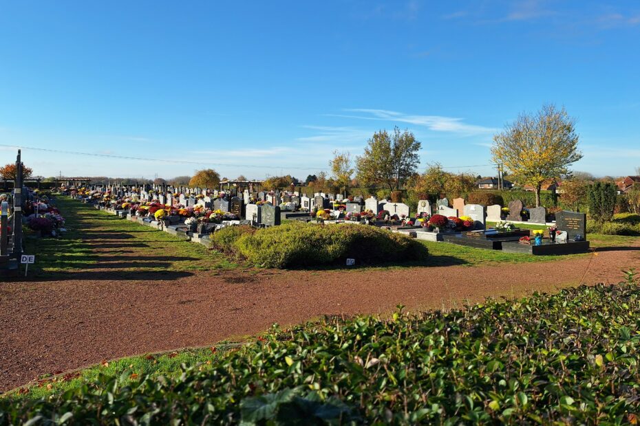 Le cimetière et les reprises de concessions en état d'abandon